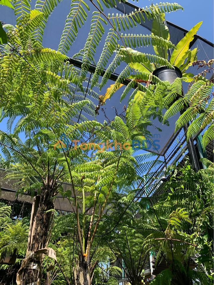 Đất nền Tân An Buôn Ma Thuột 120m² 3.5 tỷ - Sổ đỏ chính chủ