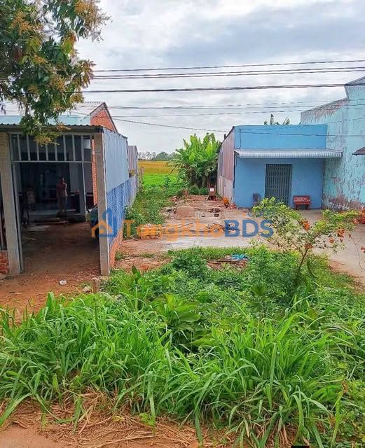 Đất nền Viên An Trần Đề 340m² 230 triệu - Đường to ô tô