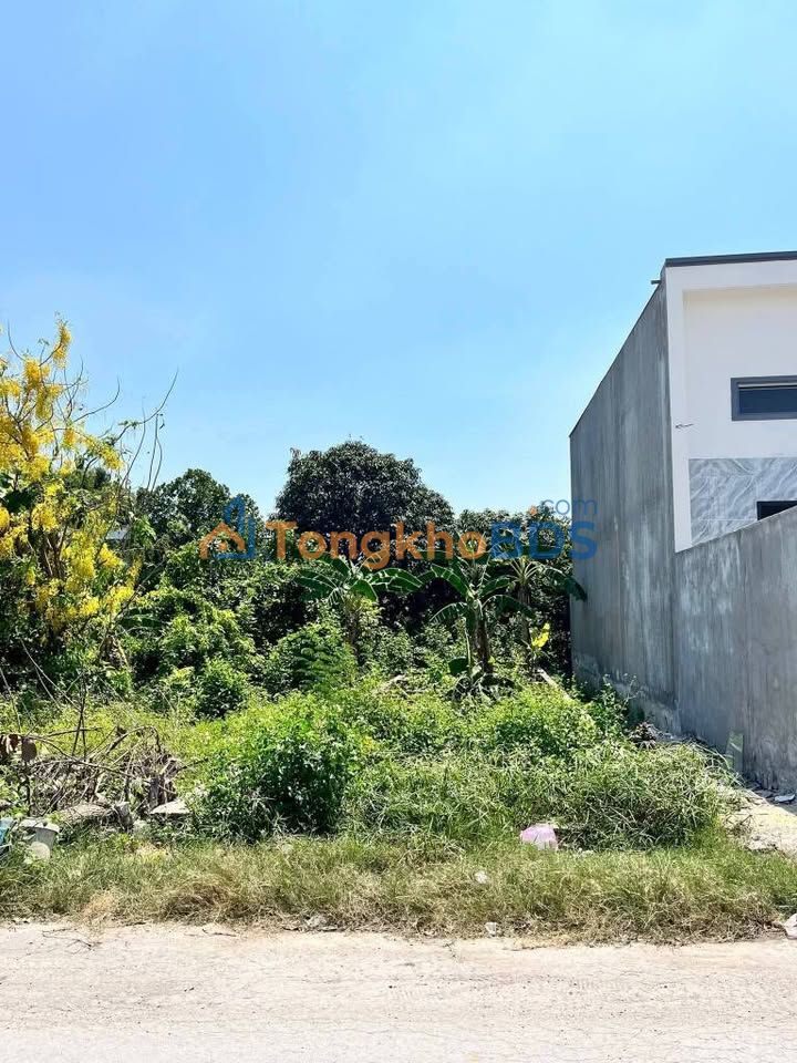 Đất nền Mỹ Hạnh Nam 113m² 1.6 tỷ - Sổ hồng riêng