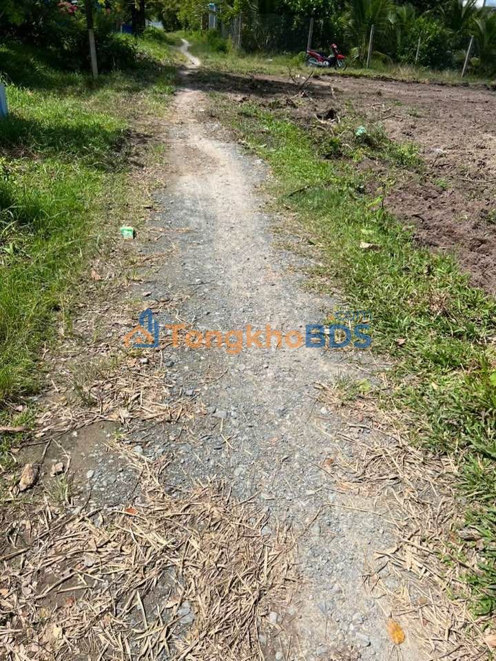 Đất An Thuận Châu Thành 1.725m² giá 3,1 tỷ - Sổ đỏ chính chủ