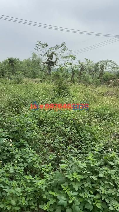 Đất nền Kim Quan Thạch Thất 76m² 3.xxx tỷ - Sổ đỏ chính chủ