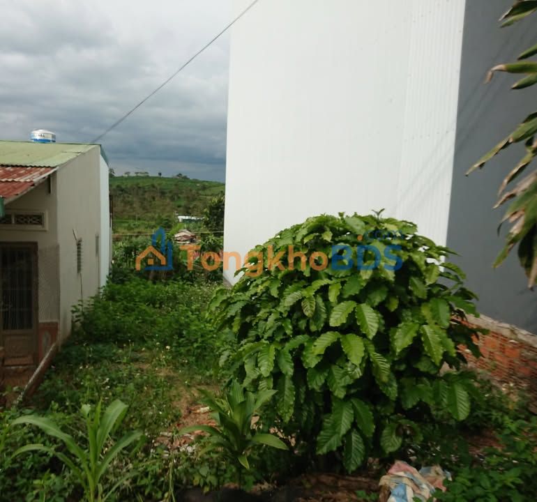 Đất Nguyễn Viết Xuân Đà Lạt 110m² 1.98 tỷ - Sổ đỏ chính chủ