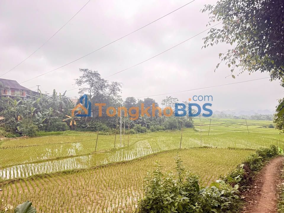 Đất nền Xóm Bái 2 Hòa Bình 469m² 270 triệu - Pháp lý rõ ràng