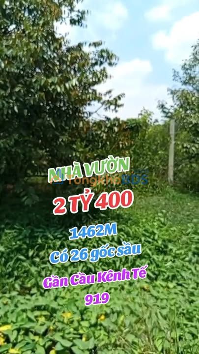 Farm Hậu Giang 1.462m² 2.4 tỷ - Sinh thái xanh gần TL919