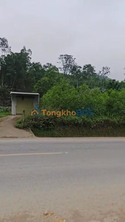 Đất Tân Kỳ 980m² giá 5 tỷ - Đất thổ cư 100%