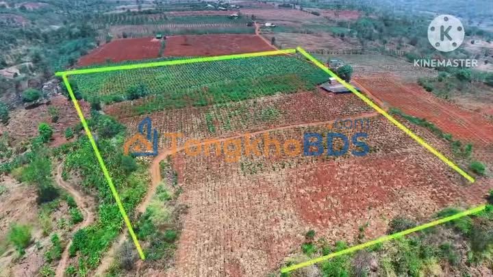 Đất nông nghiệp Kon Chiêng 3ha 12.5 tỷ - Sổ đỏ chính chủ