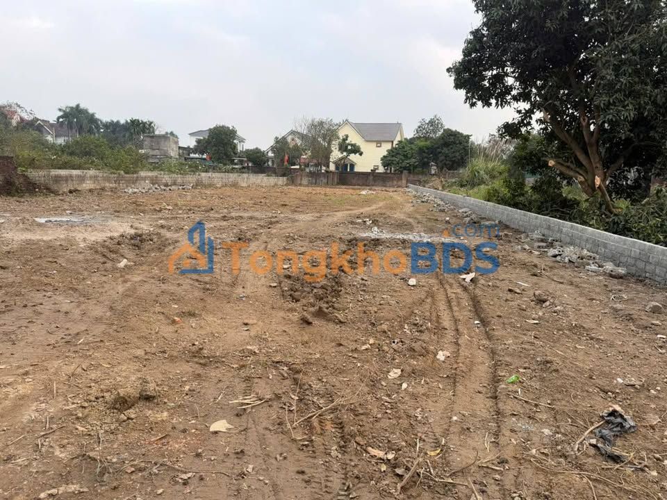 Đất nền Thôn Xuân Linh, Chương Mỹ 985m² – Sổ đỏ chính chủ