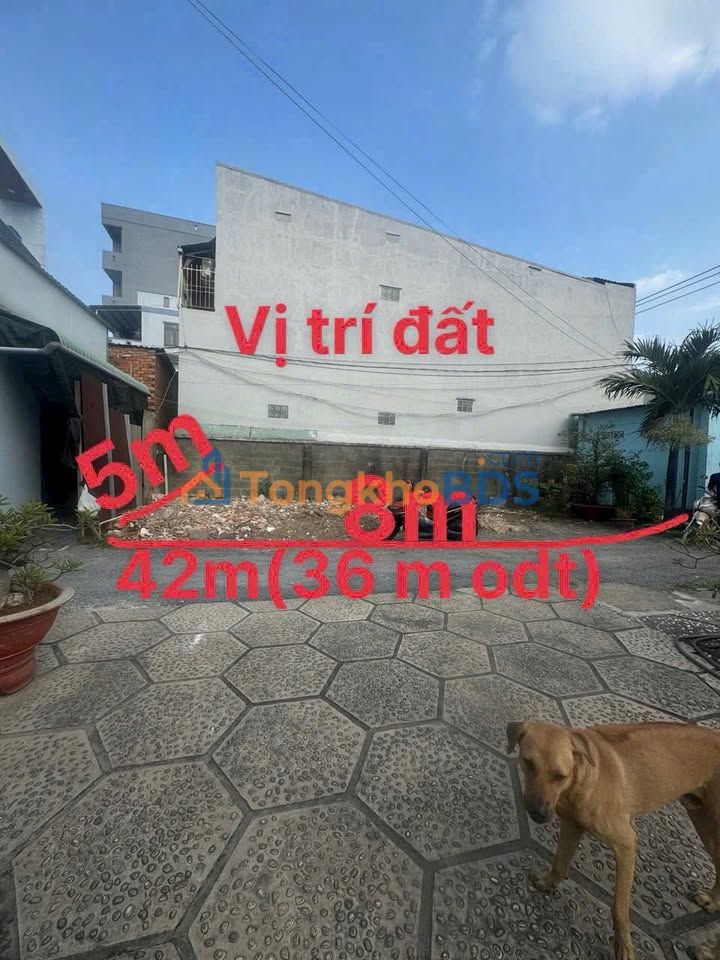 Đất nền Dĩ An Bình Đường 1 42m² 2.1 tỷ Sổ hồng sẵn