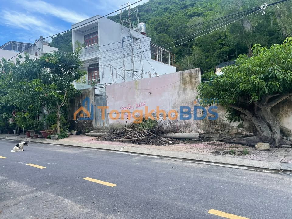 Đất Trường Sơn Vĩnh Trường 442m² 24.31 tỷ - Sổ hồng chính chủ