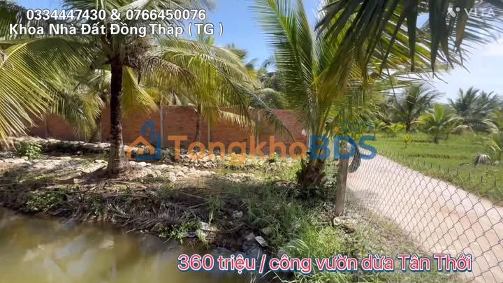 Farm Tân Phú Đông 1998m2 1.39 tỷ Sổ đỏ chính chủ pháp lý rõ