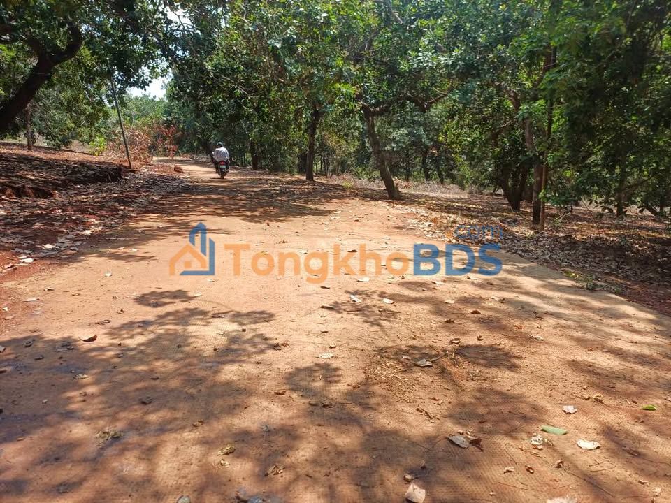 Đất vườn Đức Liễu 1.8ha 3.9 tỷ - Sinh thái xanh sát hồ Thác Mơ