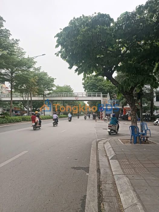 Nhà phố Nguyễn Khánh Toàn Cầu Giấy 250m² giá 60 triệu - Mặt tiền kinh doanh