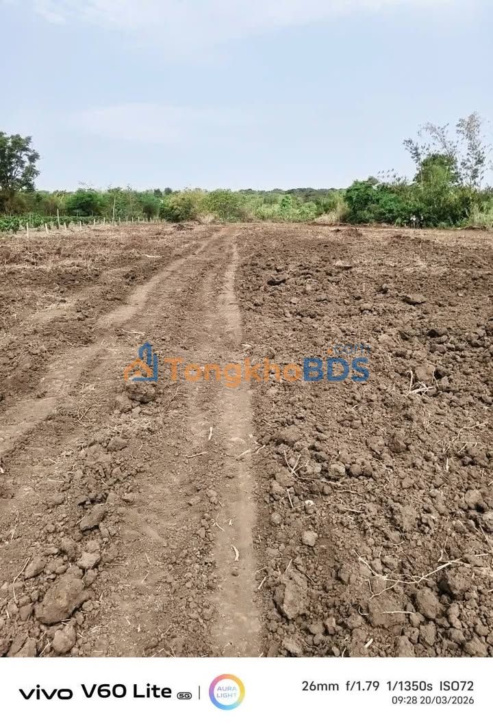 Đất xã Ea M'Drôh 5040m² 1.33 tỷ - Sổ đỏ chính chủ