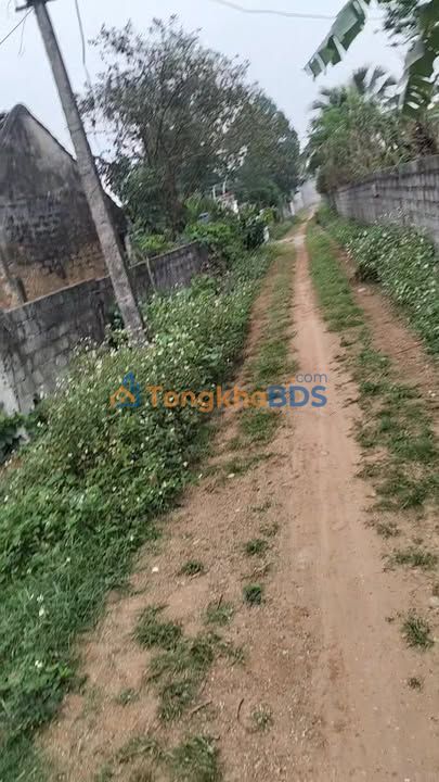 Đất nền Quỳnh Lưu Ninh Bình 200m² 1.3 tỷ - Sổ đỏ chính chủ