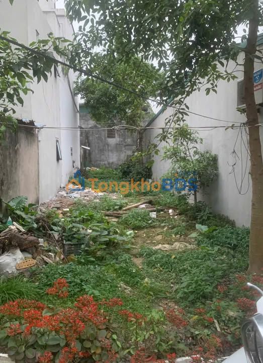 Đất Trần Hưng Đạo Thái Bình 84m² 1.2 tỷ - Sổ đỏ chính chủ