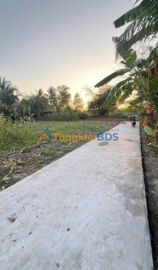 Đất nền Phú Lợi Thủ Dầu Một 504m² 480 triệu - Xây dựng tự do