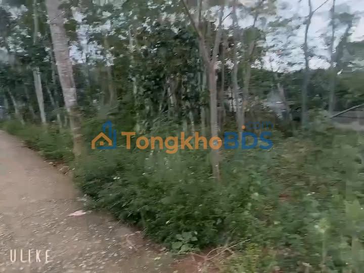 Đất nền Vân Âm Ngọc Lặc 114m² 200 triệu - Pháp lý rõ ràng