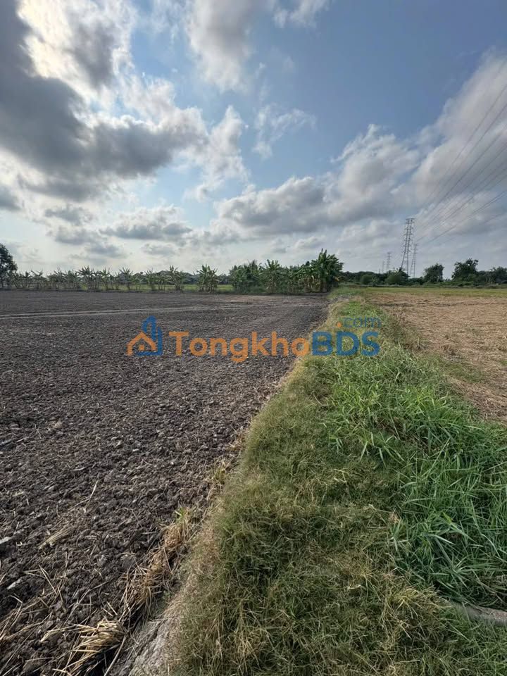 Đất nền Mỹ Lệ Cần Đước 1600m² 650 triệu - Giá tốt hiếm có