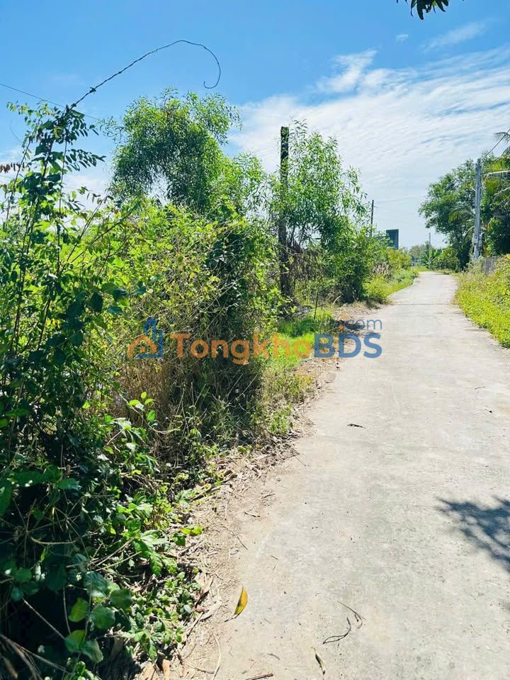 Đất nền Hàm Liêm 1000m² 550 triệu - Sổ đỏ chính chủ