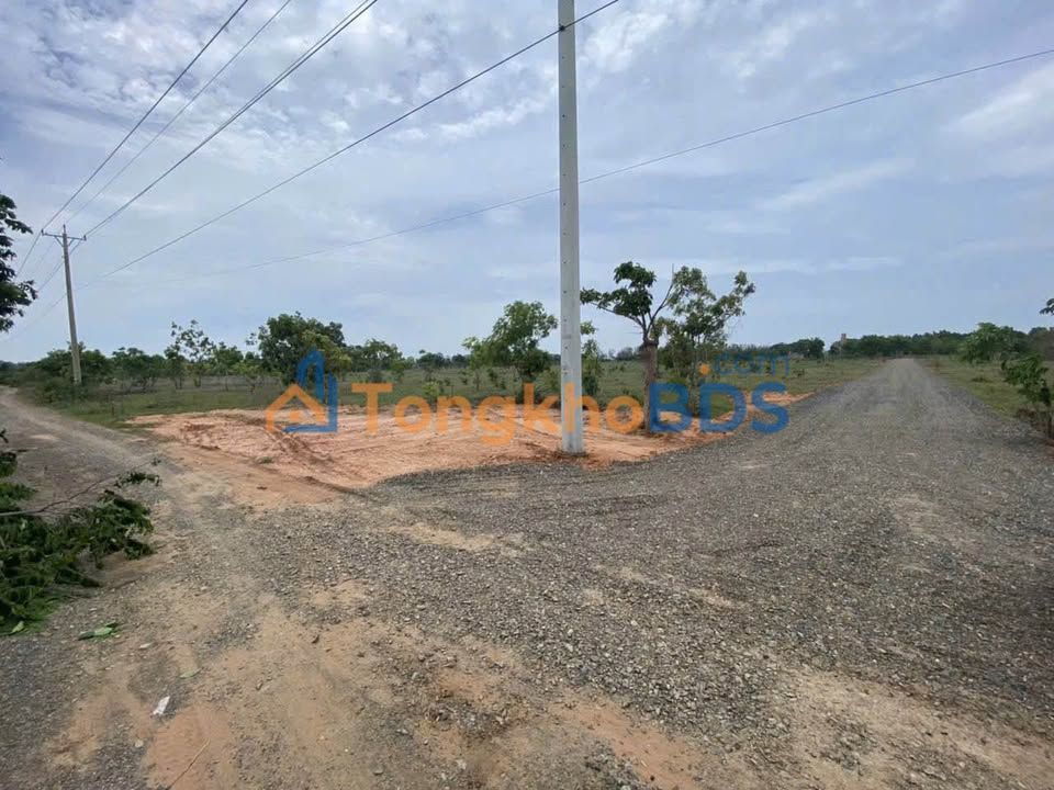 Đất nền Tiến Bình Phan Thiết 3.000m² 2.8 tỷ - Đường ô tô