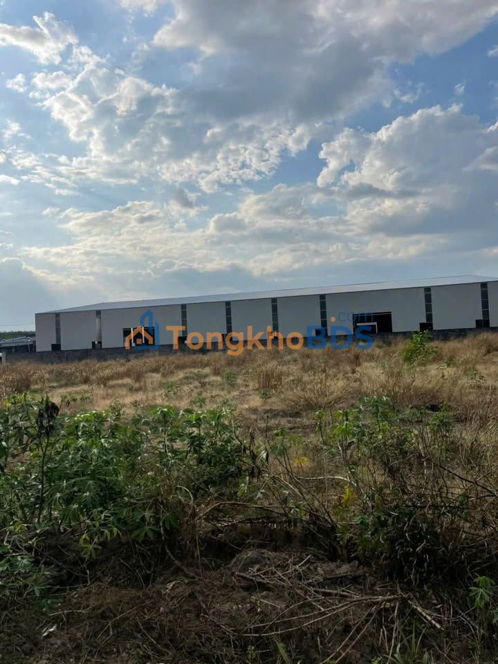 Đất nền Phú Giáo 1125m² 2.6 tỷ - Tiềm năng tăng giá