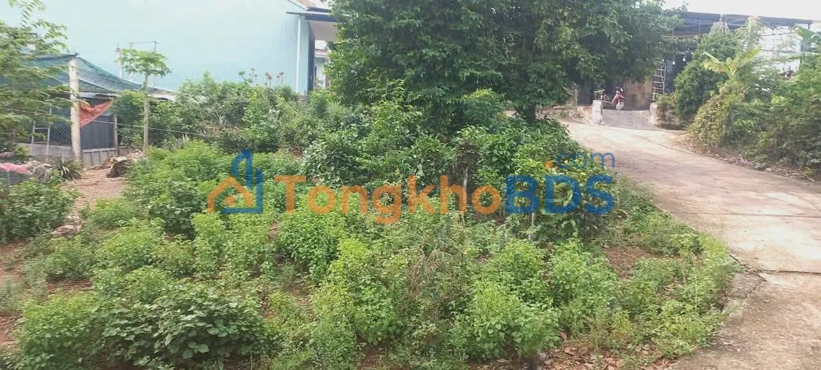 Đất nền Liên Chiểu 326m² 1.9 tỷ – Đường ô tô