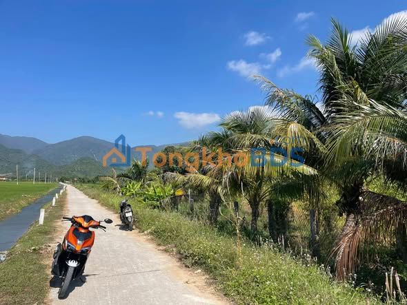 Đất trồng lúa Vạn Ninh 3560m² giá 150 triệu - Sổ đỏ chính chủ