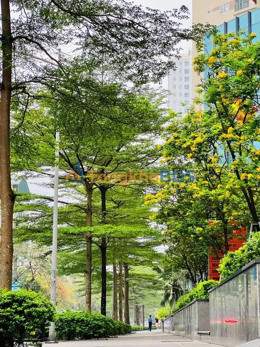 Căn hộ cho thuê Văn Phú Hà Đông 47-117m² 9-15tr View đẹp