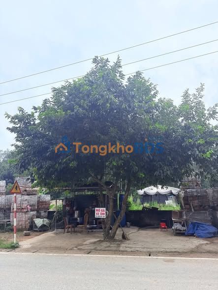 Đất nền Phong Châu 200m² 4 tỷ - Đất thổ cư 100% mặt tiền 10m