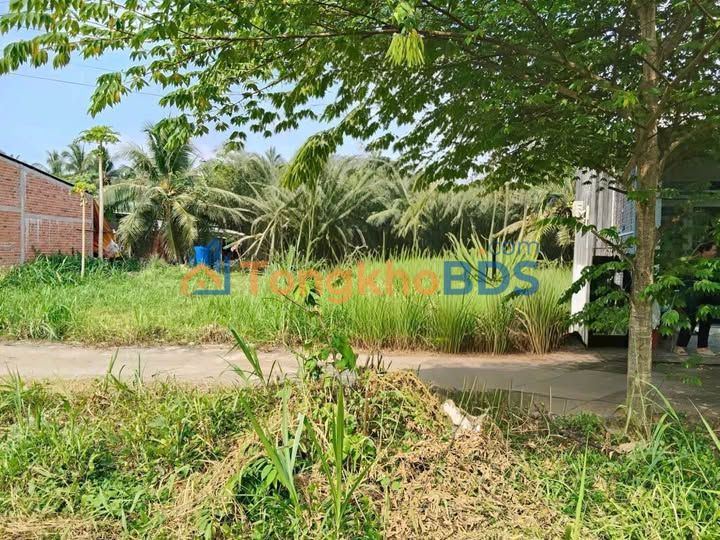 Đất nền Hữu Định Châu Thành 136m² 590 triệu - Thổ cư 100%