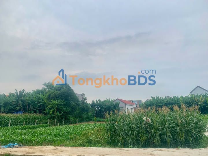 Đất nền Sơn Tịnh Quảng Ngãi 144m² 600-799 triệu - Sổ đỏ chính chủ