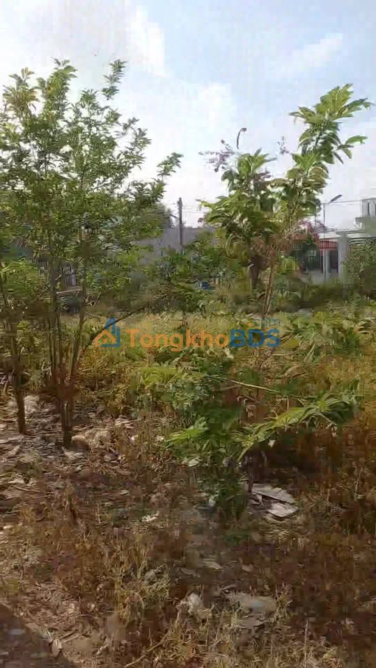 Đất nền Lộc An Long Thành 130m² 1,6 tỷ - Tiềm năng tăng giá