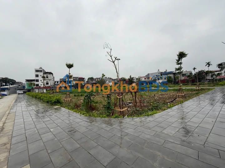 Đất nền Trần Nhân Tông 50-52m² 1.7 tỷ - Sổ hồng chính chủ