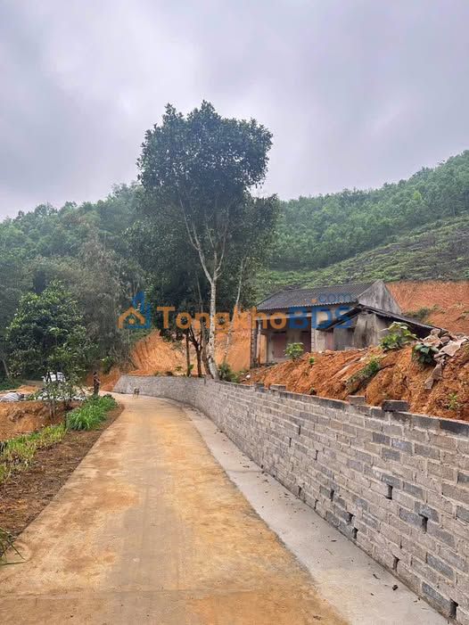 Đất nền Yên Lạc Phú Lương 2000m² thỏa thuận - Xây dựng tự do