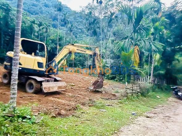 Đất nền Lỗ Sơn Tân Lạc 1300m² 799 triệu - Đường to ô tô