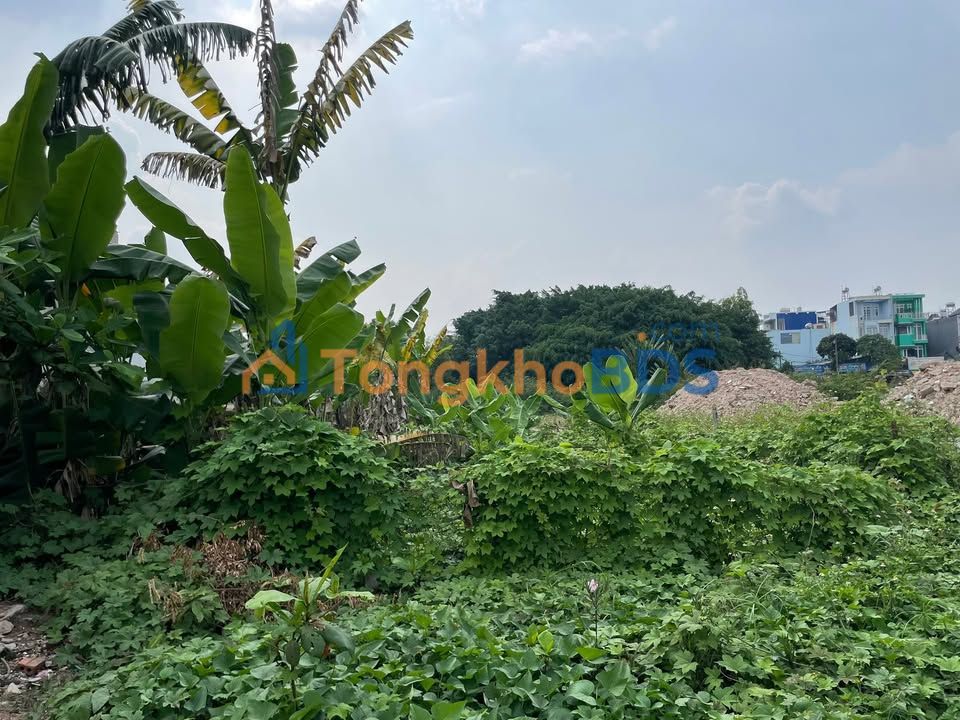 Đất nền Tân Xuân Hóc Môn 80m² 4.1 tỷ - Sổ đỏ chính chủ