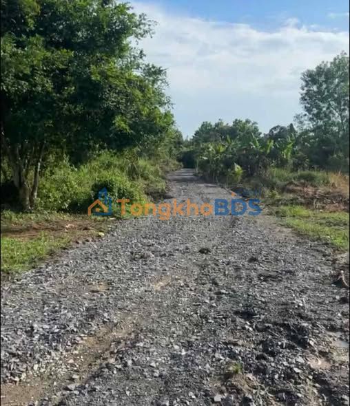 Đất nền Phú Vinh Định Quán 10.000m² 2.5 tỷ - Tiềm năng tăng giá