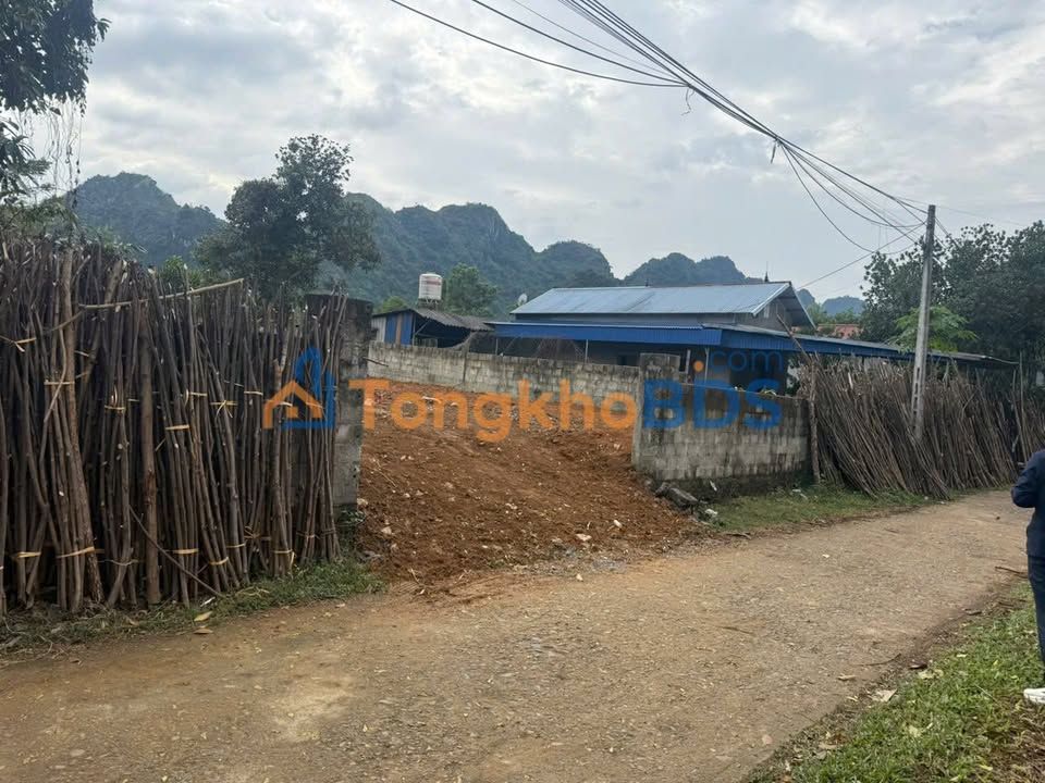 Đất nền Phú Thành 480m² 1 tỷ - Sổ hồng chính chủ