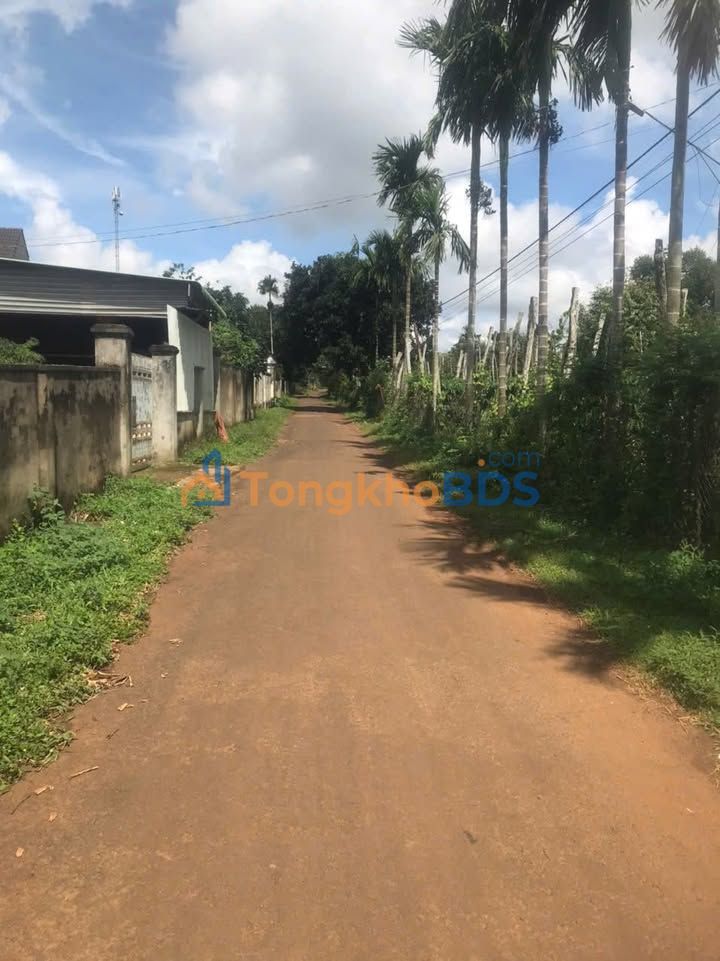 Đất Bình Tân Buôn Hồ 125m² 200-299tr - Giá F0 CĐT