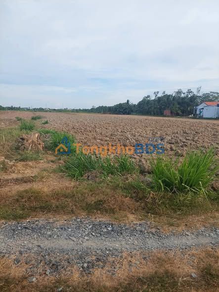 Đất ruộng An Bình Tây 6.3 công 1.89 tỷ - Tiềm năng tăng giá