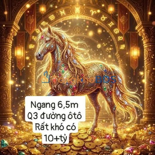 Nhà 58m² Lý Chính Thắng quận 3 13 tỷ - Giá tốt hiếm có