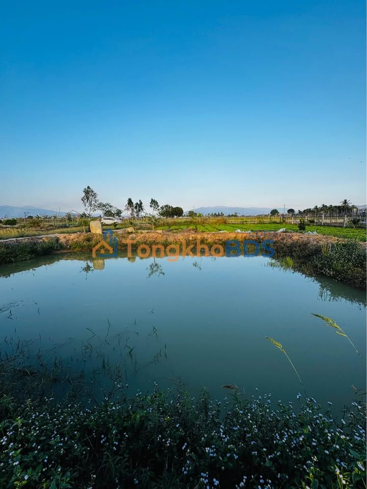 Đất thổ cư Lâm Sơn Ninh Sơn 126m2 250 triệu - Đường ô tô