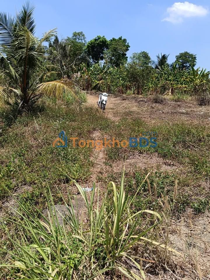 Đất nền Long Khánh Bàu Trâm 864m² 750 triệu - Sổ đỏ chính chủ