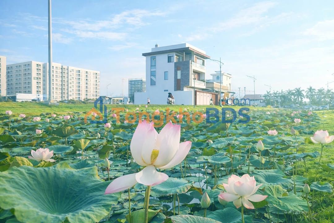 Đất nền Nam Long 2 Cần Thơ 248m² 10.1 tỷ - Pháp lý rõ ràng