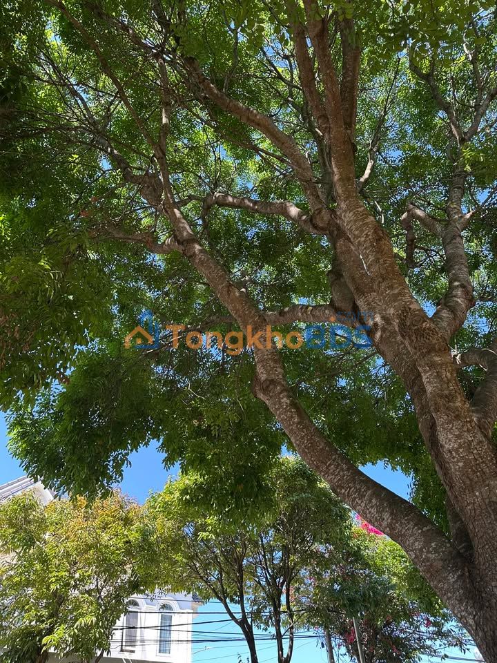 Đất nền Phú Hội Đức Trọng 160m² 1.15 tỷ - Sổ đỏ chính chủ