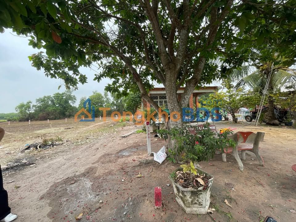 Đất nền Bến Cầu 180m² 333 triệu - Đất thổ cư 100%