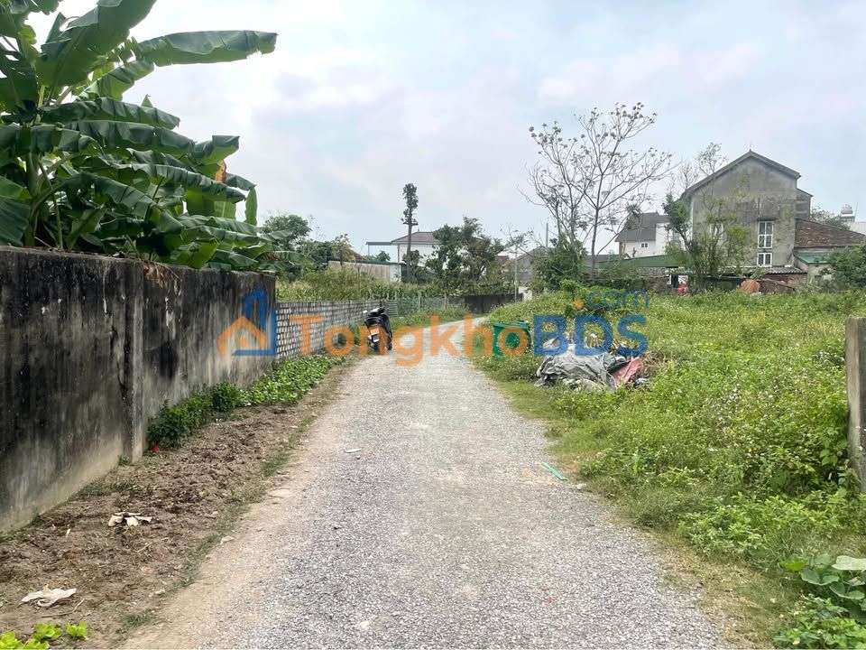 Đất Trần Khánh Dư Vinh 59m² 2.1 tỷ - Xây dựng tự do