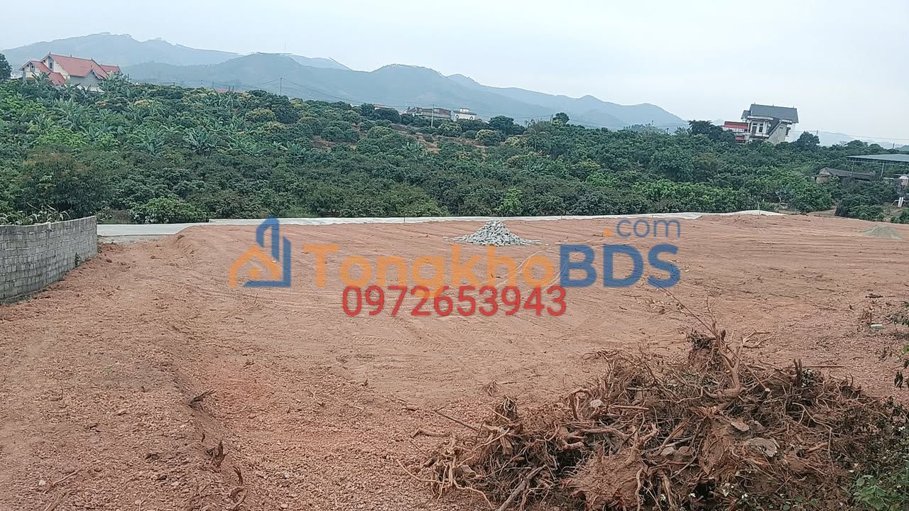 Đất Đông Hưng Lục Nam 450m² 500-699 triệu - Sổ đỏ chính chủ