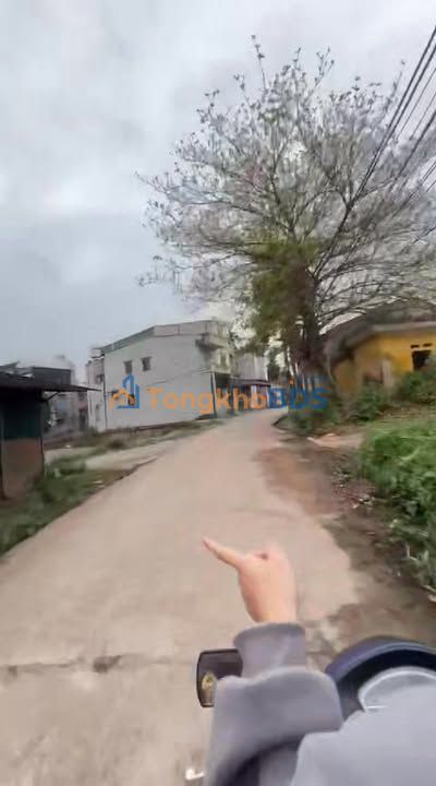 Đất Khu phố 12 Thanh Miếu 110m² 2.4 tỷ - Sổ đỏ chính chủ