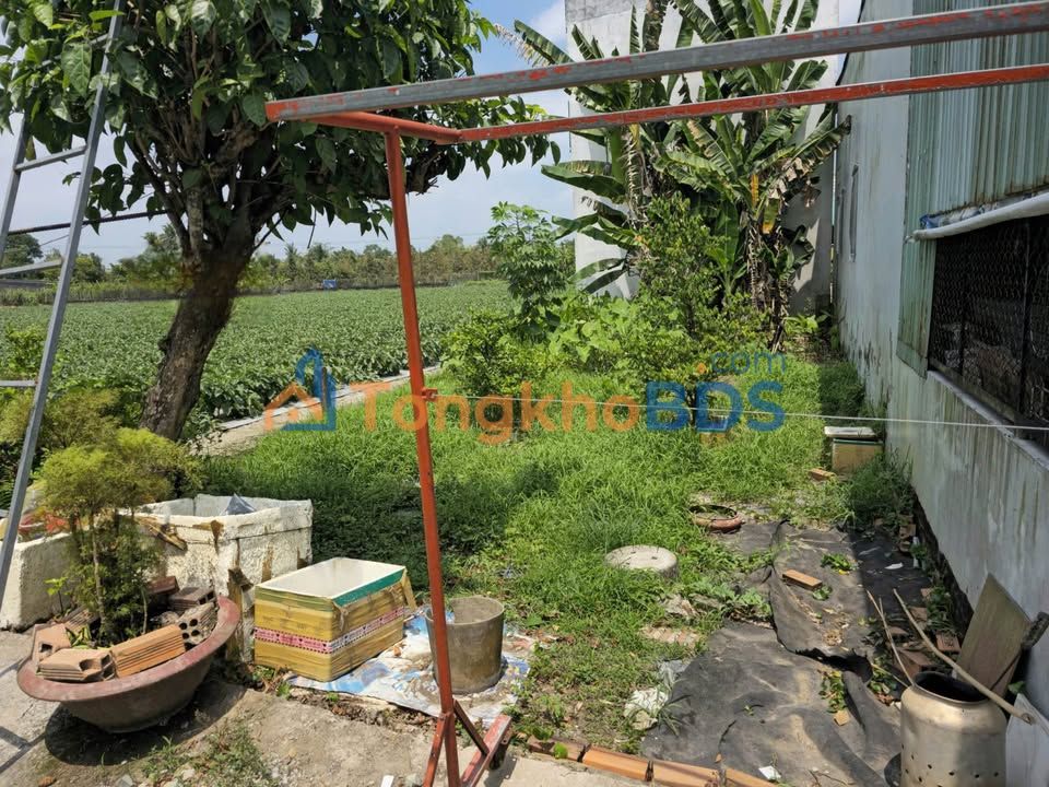 Đất nền Bình Thủy Cần Thơ 84m² 1 tỷ - Sổ đỏ thổ cư